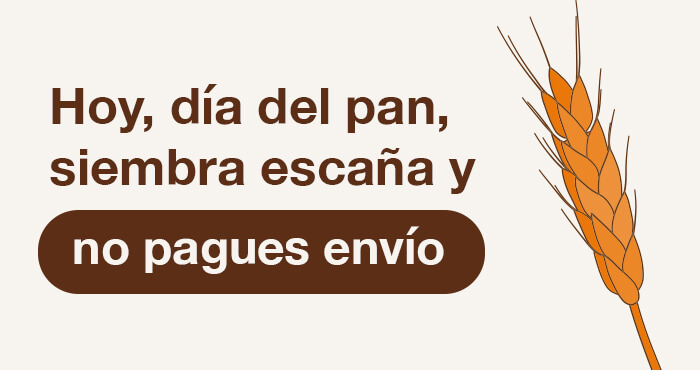 Día del pan 2025