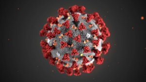 Coronavirus, ultimas noticias sobre entregas y pedidos