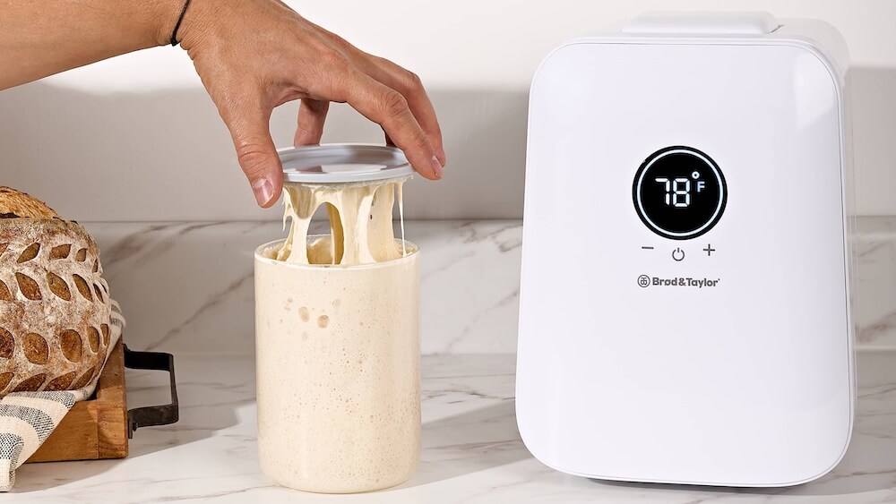 Cámara para masa madre con tarro de masa madre fermentada