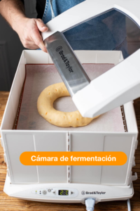 Roscón en cámara de fermentación